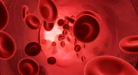Improve blood circulation